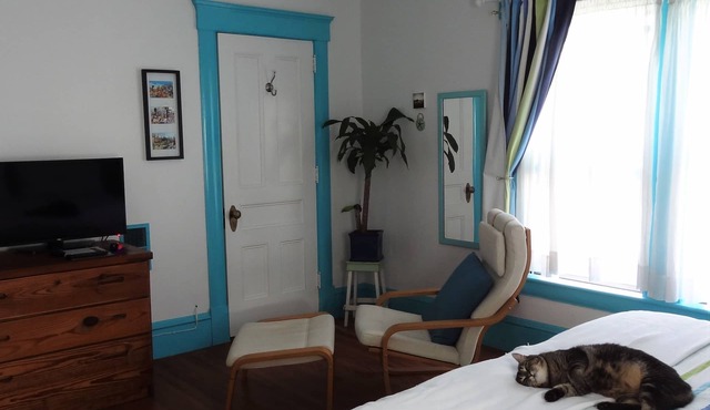 The One Cat B&B