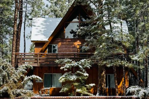 The Wilkie Cabin #339