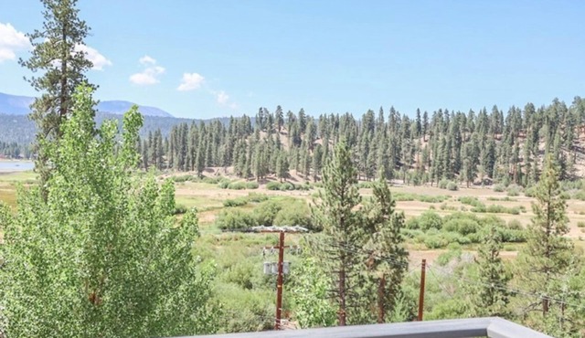 Tree Top Views- Peekaboo Lake View- Foosball