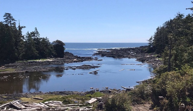 West Coast Oceanfront Private Suite with Stunning View in Ucluelet