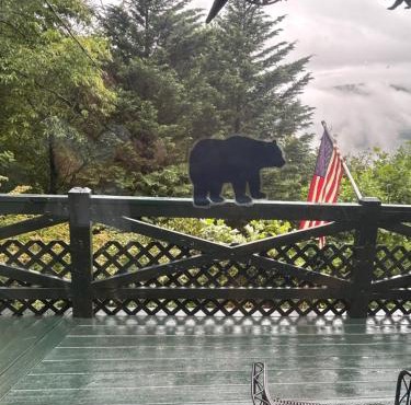 Williebear Cabin in Clayton