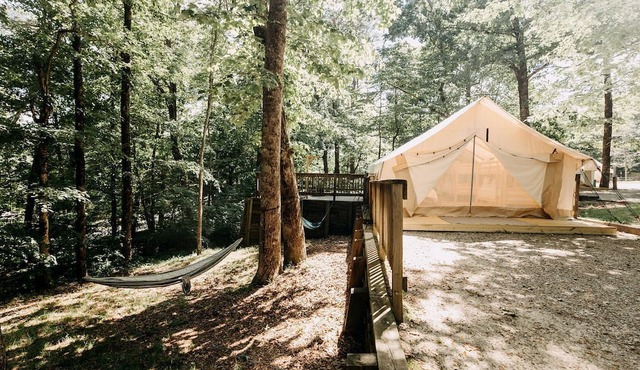 Woodland Safari Tent with Fire Pit & Hammocks in Dawsonville, Georgia