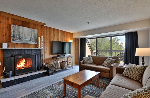 Beautiful Renovated 1BR/1BA Condo Next to Mountain 3C13