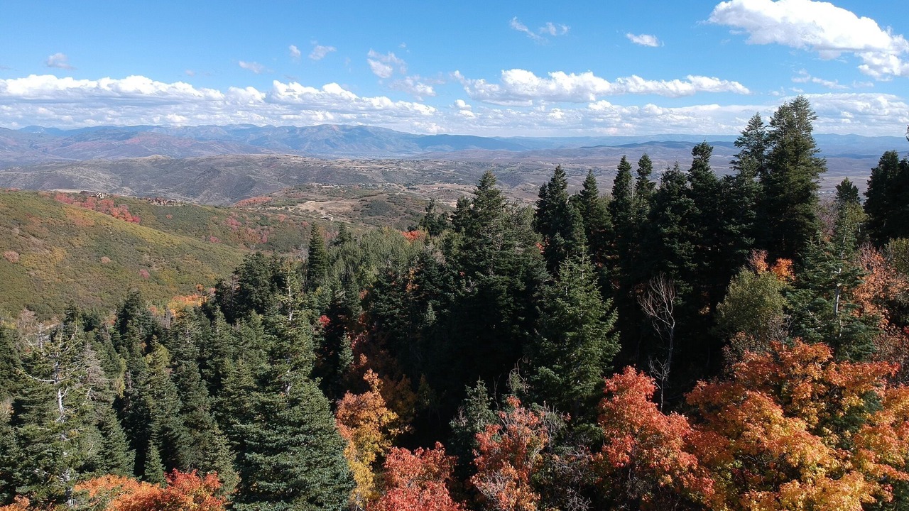 Photo of Outdoor in Stagecoach Estates