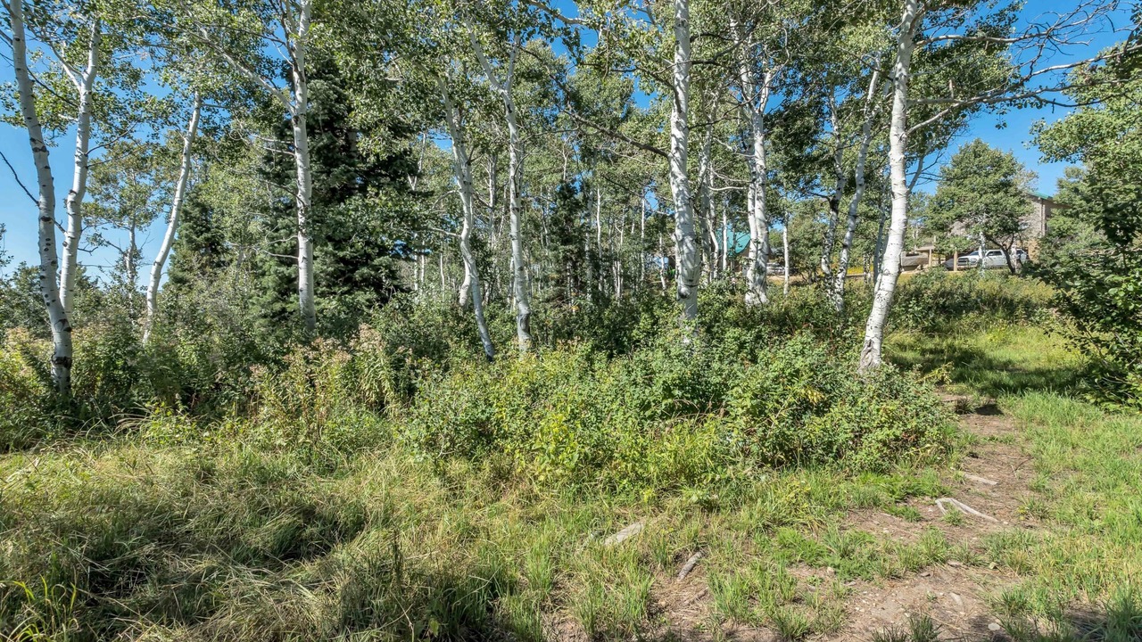 Photo of Outdoor in Tollgate Canyon
