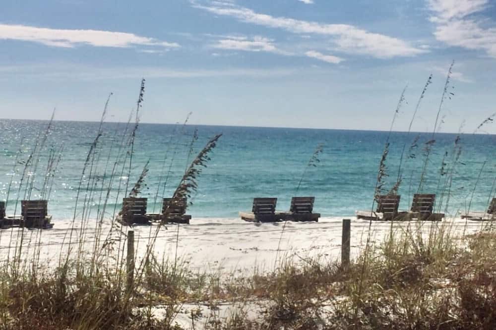 Photo of Others in Biltmore Beach