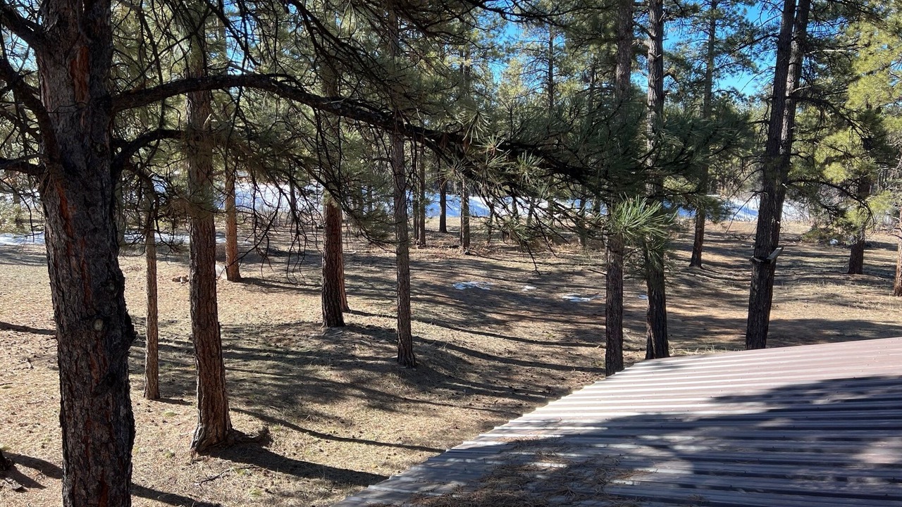 Photo of Outdoor in Mancos