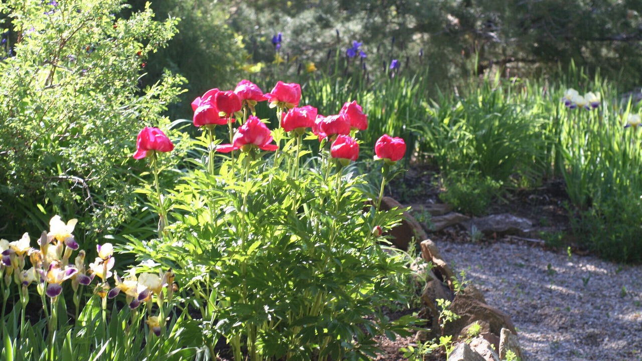 Photo of Outdoor in Mancos