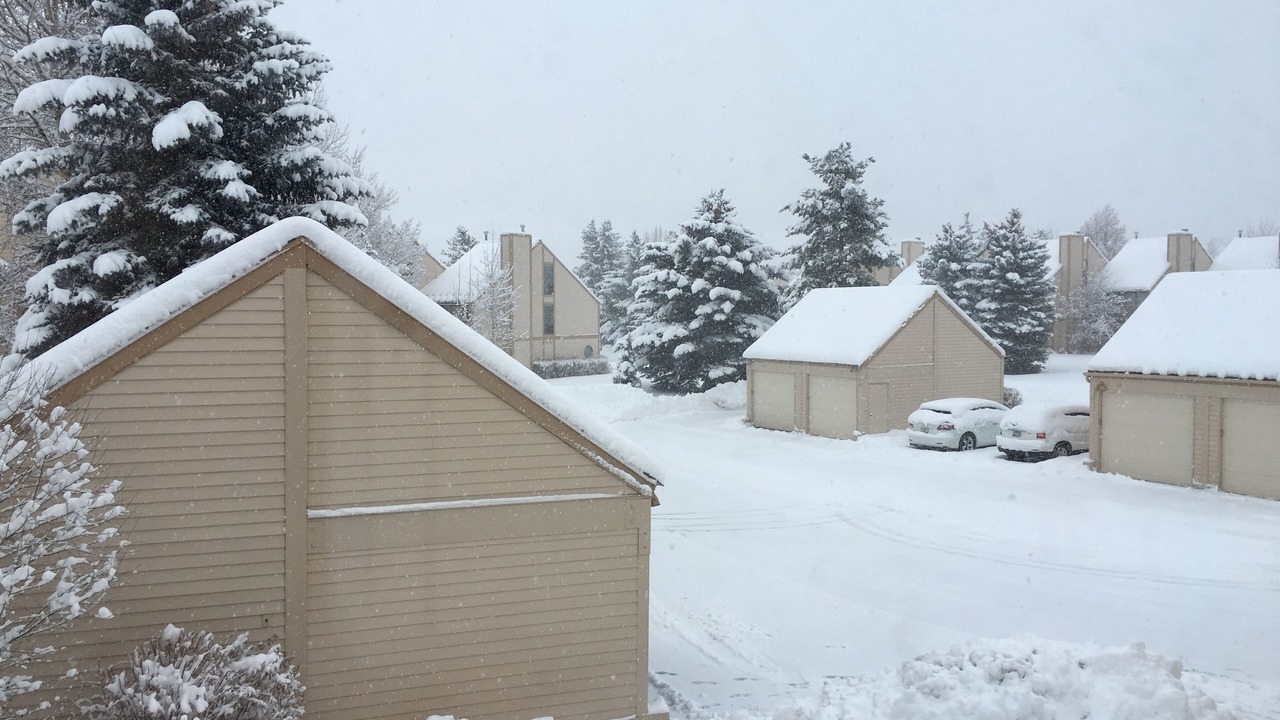 Photo of Outdoor in Park Meadows