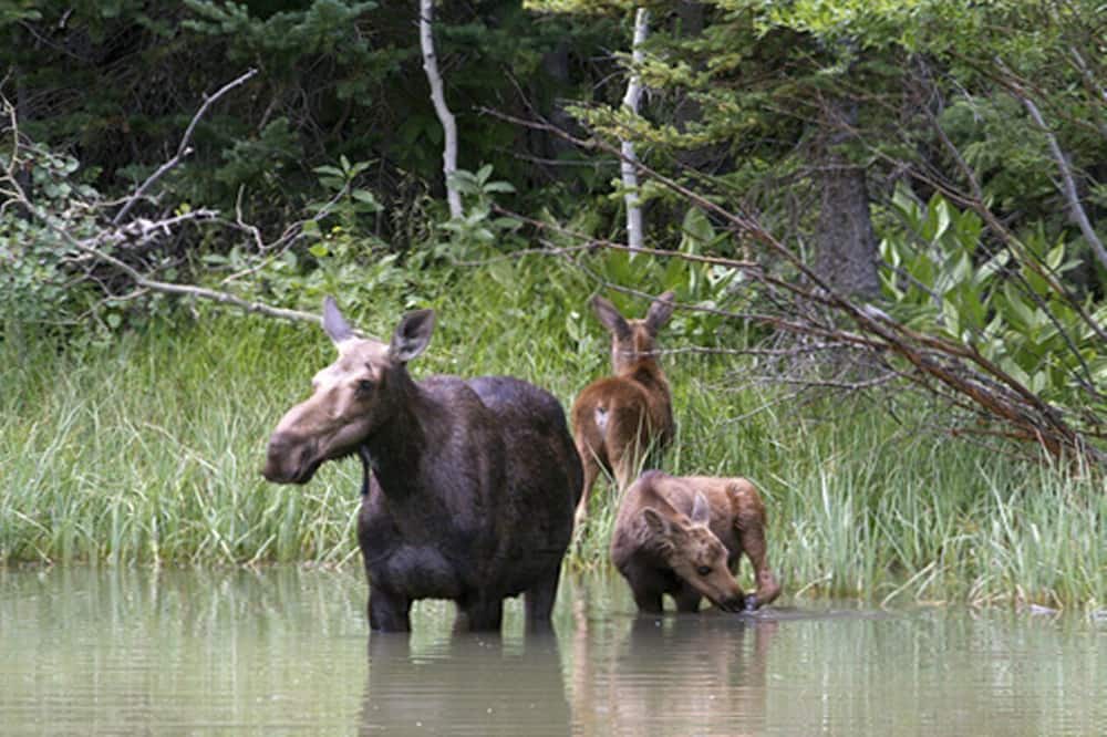 Photo of Others in Salt Lake Mountain Resorts