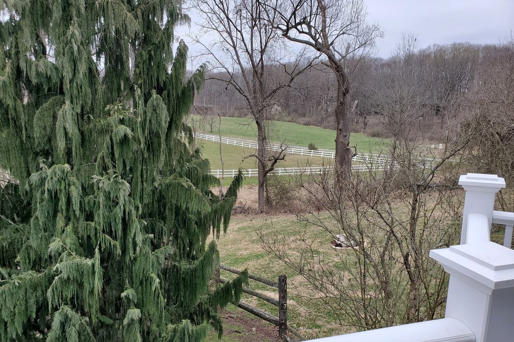 Photo of Patio Balcony in Kemblesville
