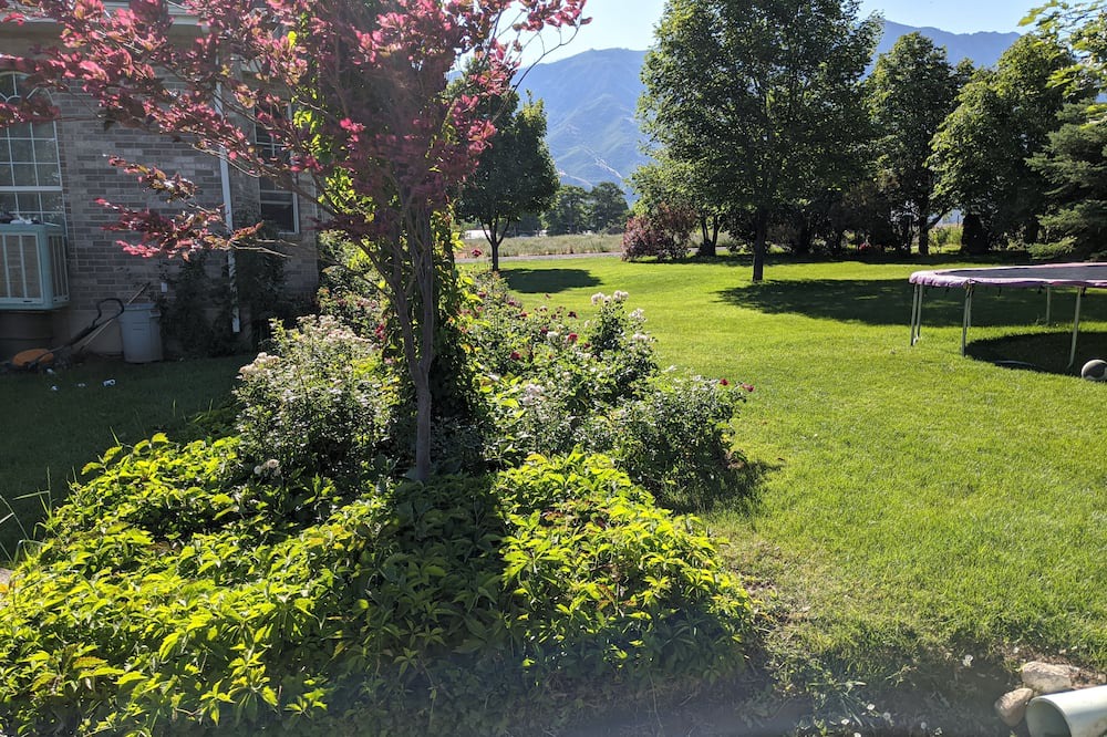 Photo of Outdoor in Santaquin