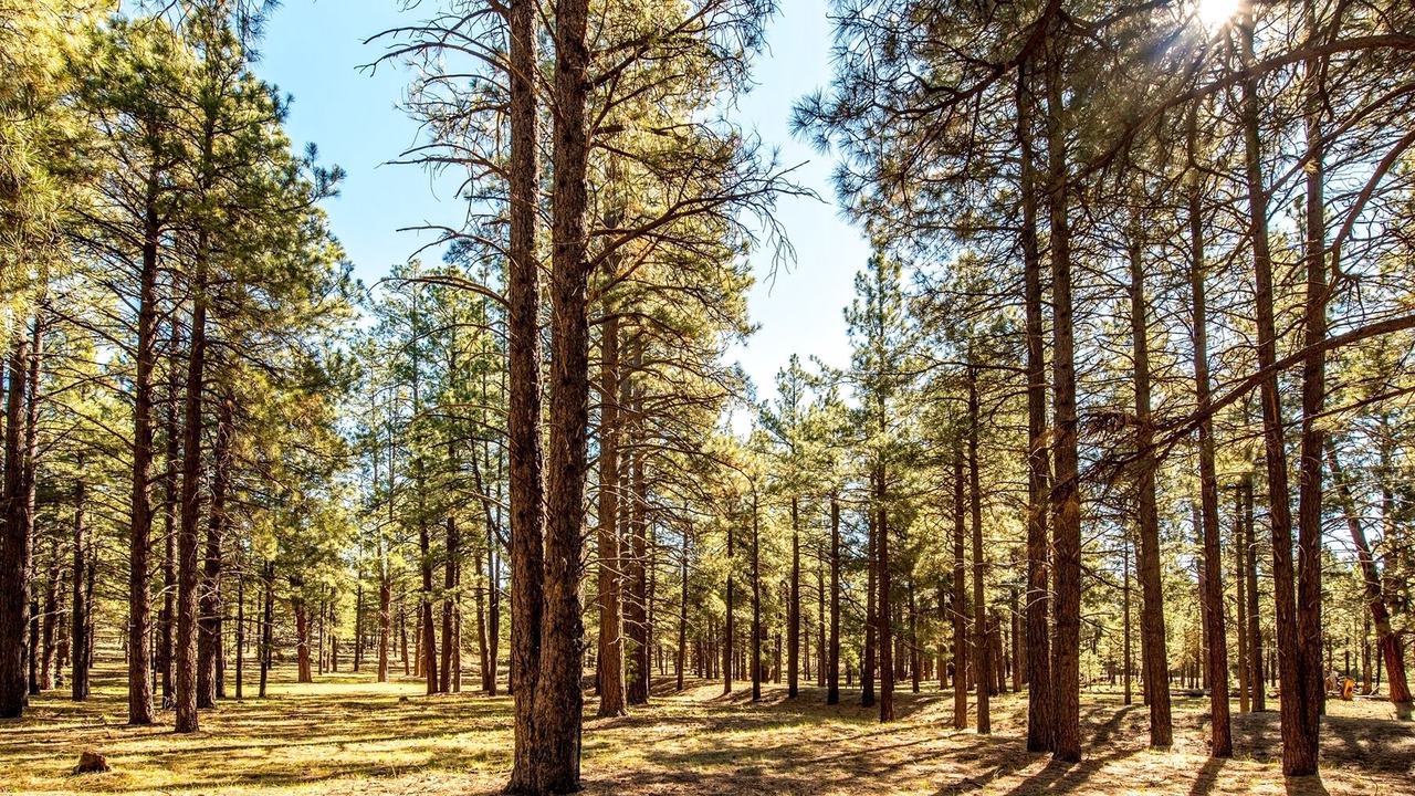 Photo of Outdoor in Parks