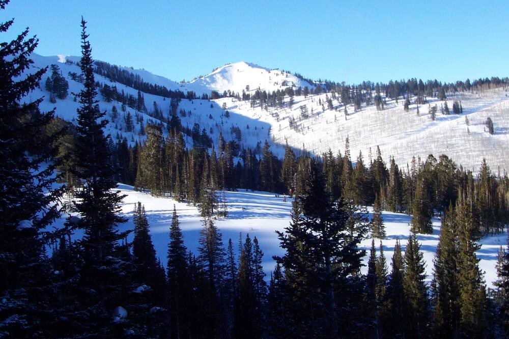 Photo of Outdoor in North Park City