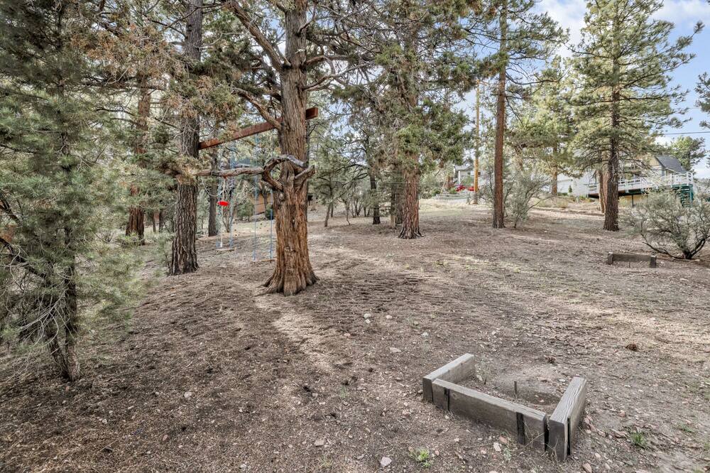Photo of Outdoor in Big Bear City