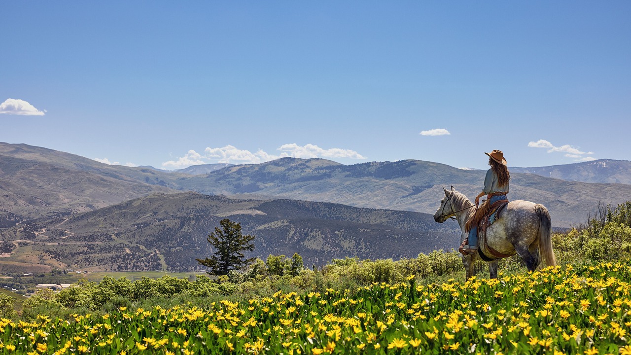 Photo of Others in Park City
