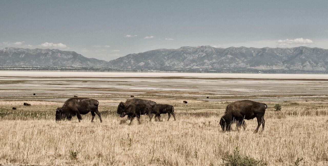 Photo of Outdoor in South Salt Lake
