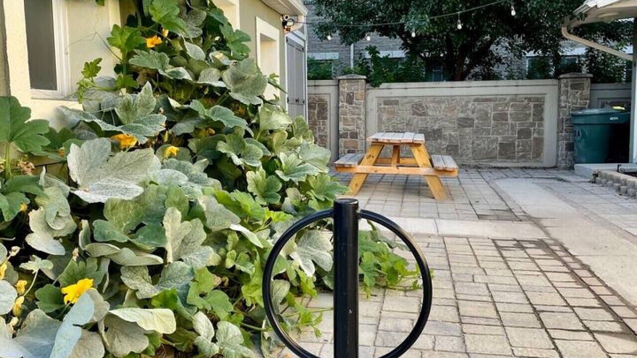 Photo of Outdoor in Fairpark