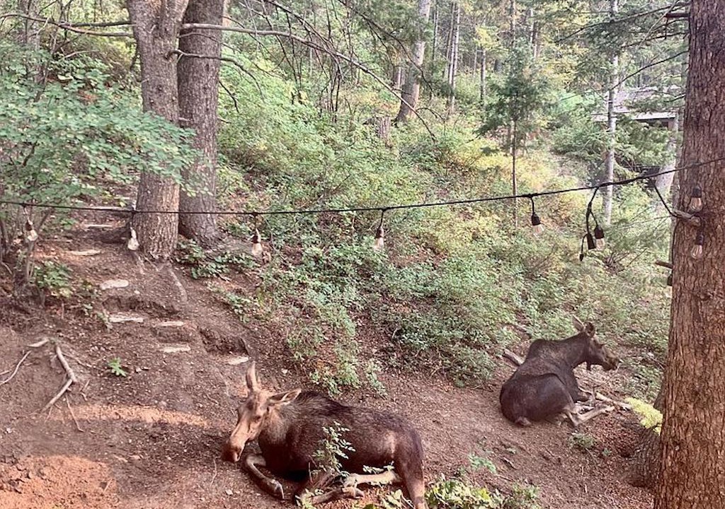 Photo of Outdoor in Summit Park