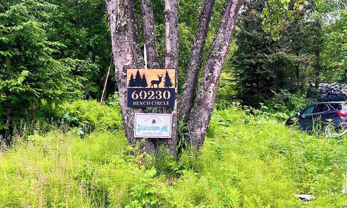 Photo of Outdoor in Kachemak