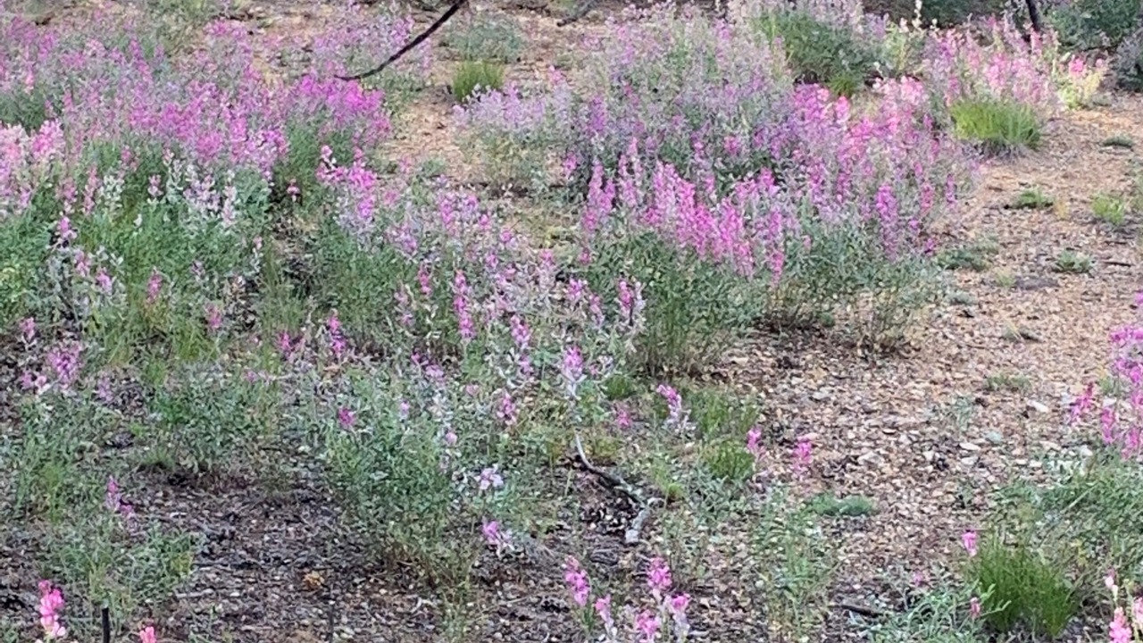 Photo of Outdoor in Duchesne