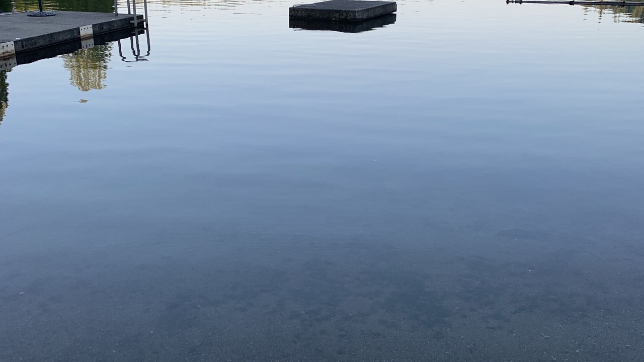 Photo of Others in Lake Roesiger