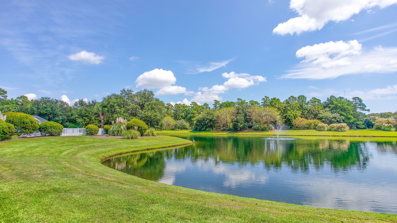 Photo of Outdoor in Pawleys Island