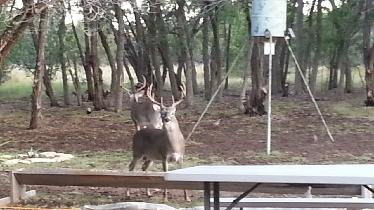 Photo of Others in Canyon Lake