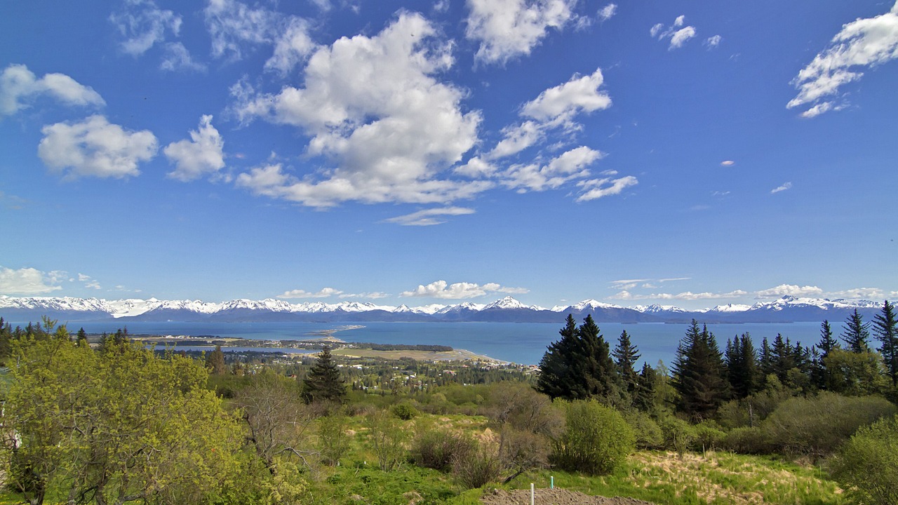 Photo of Others in Homer