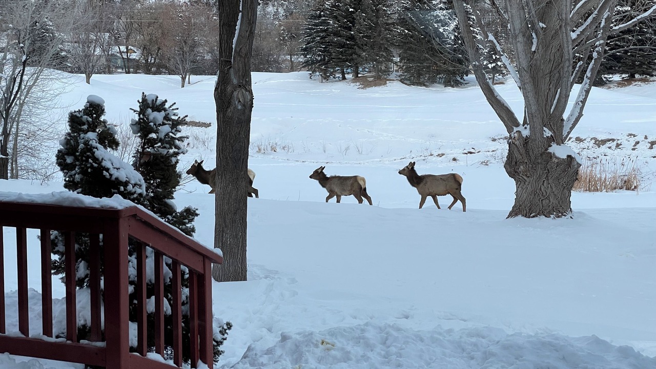 Photo of Others in Dalton Ranch