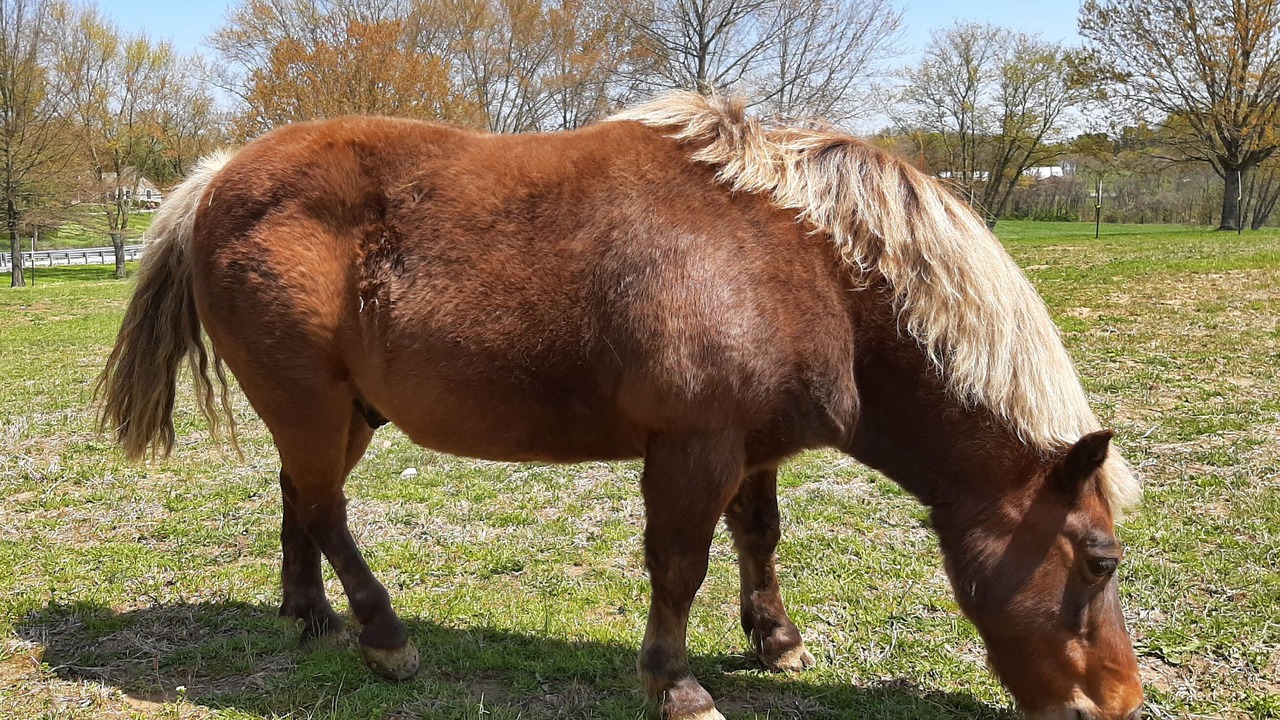 Photo of Outdoor in Kemblesville