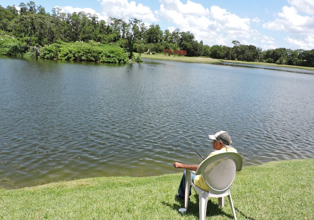 Photo of Others in Lake Berkley