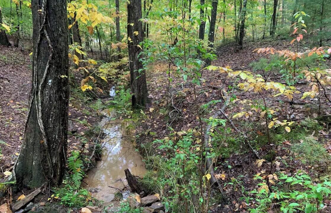 Photo of Others in Morganton