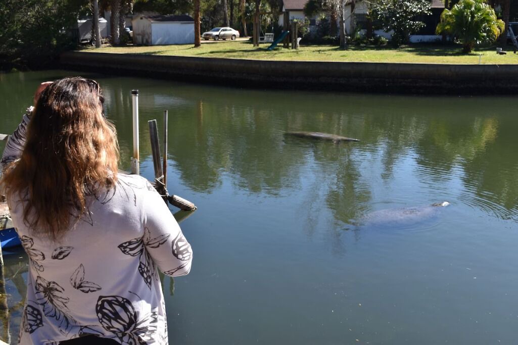 Photo of Others in Weeki Wachee Gardens