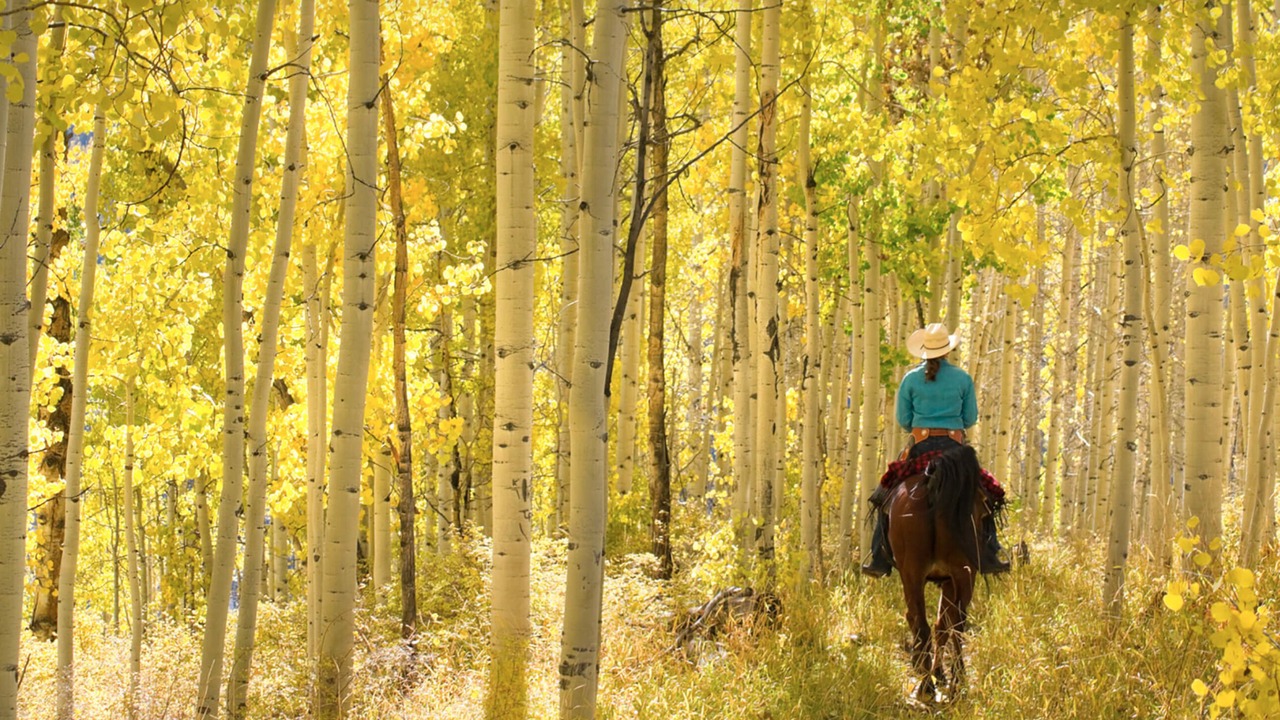 Photo of Others in Park City
