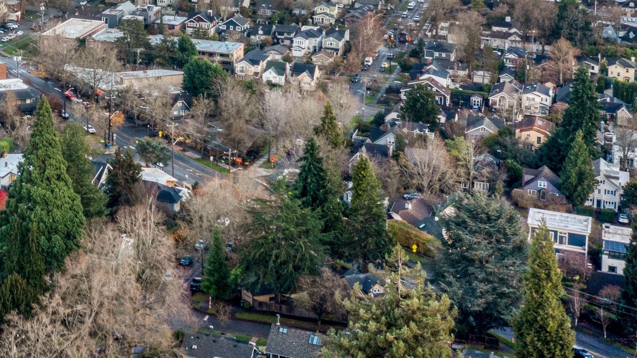 Photo of Outdoor in Madison Park