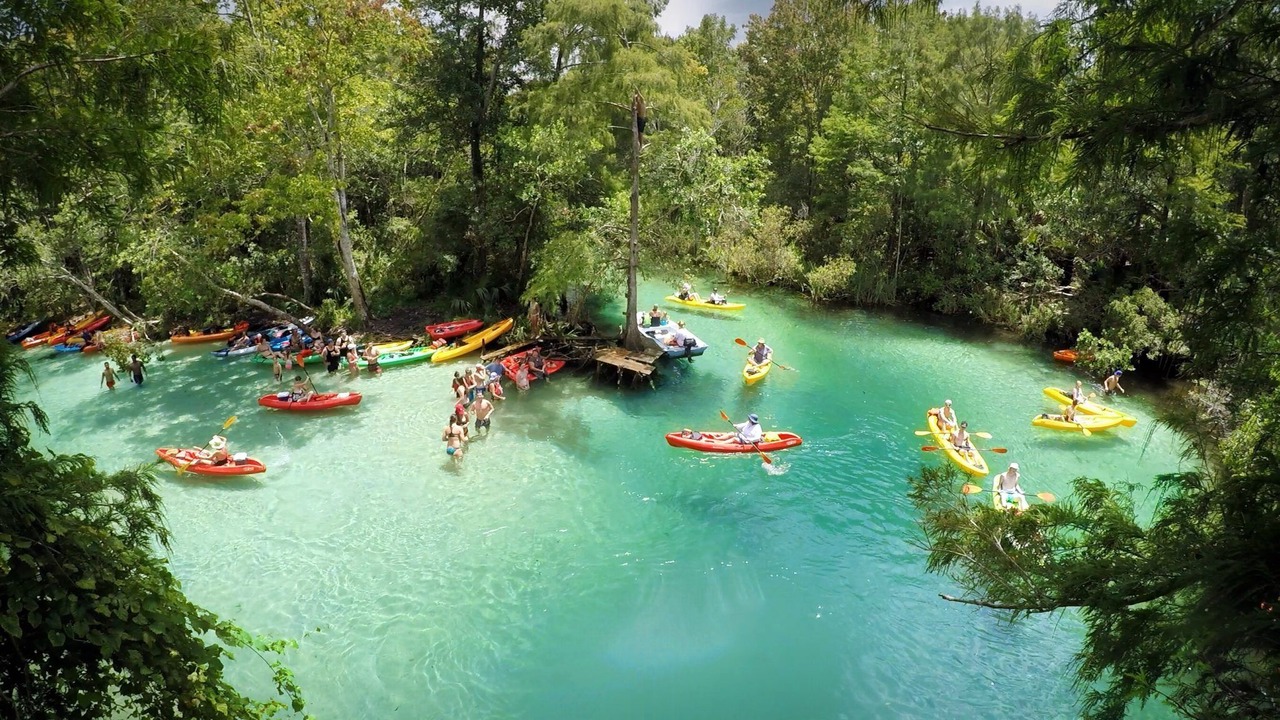 Photo of Outdoor in Weeki Wachee Gardens