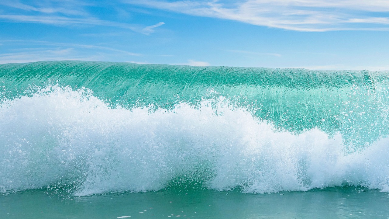 Photo of Others in Inlet Beach