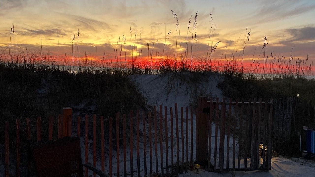 Photo of Others in West Panama City Beach