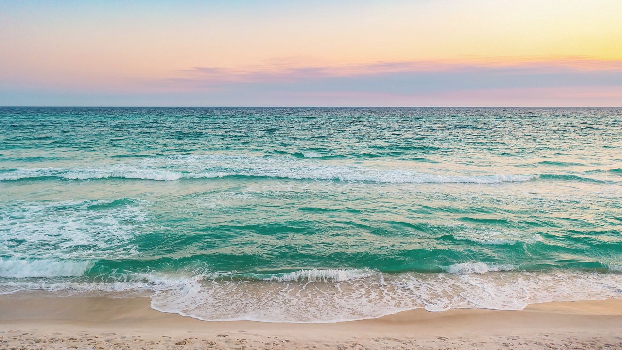 Photo of Others in West Panama City Beach