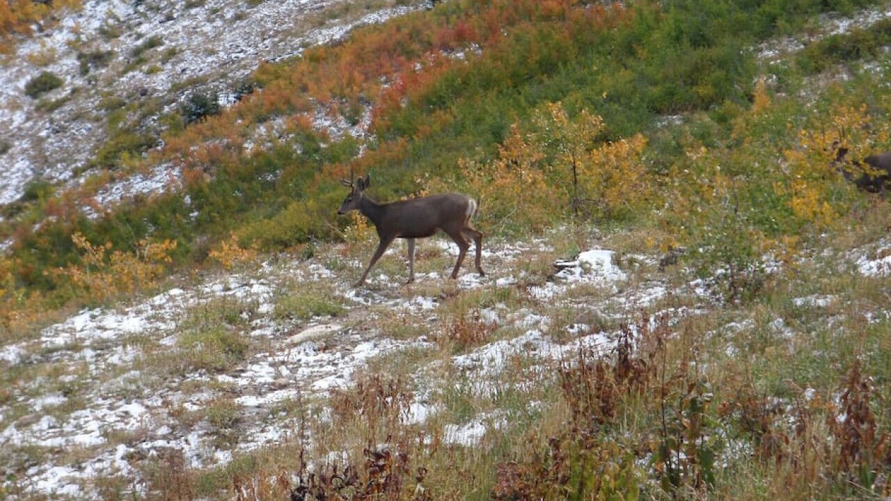 Photo of Outdoor in Millcreek