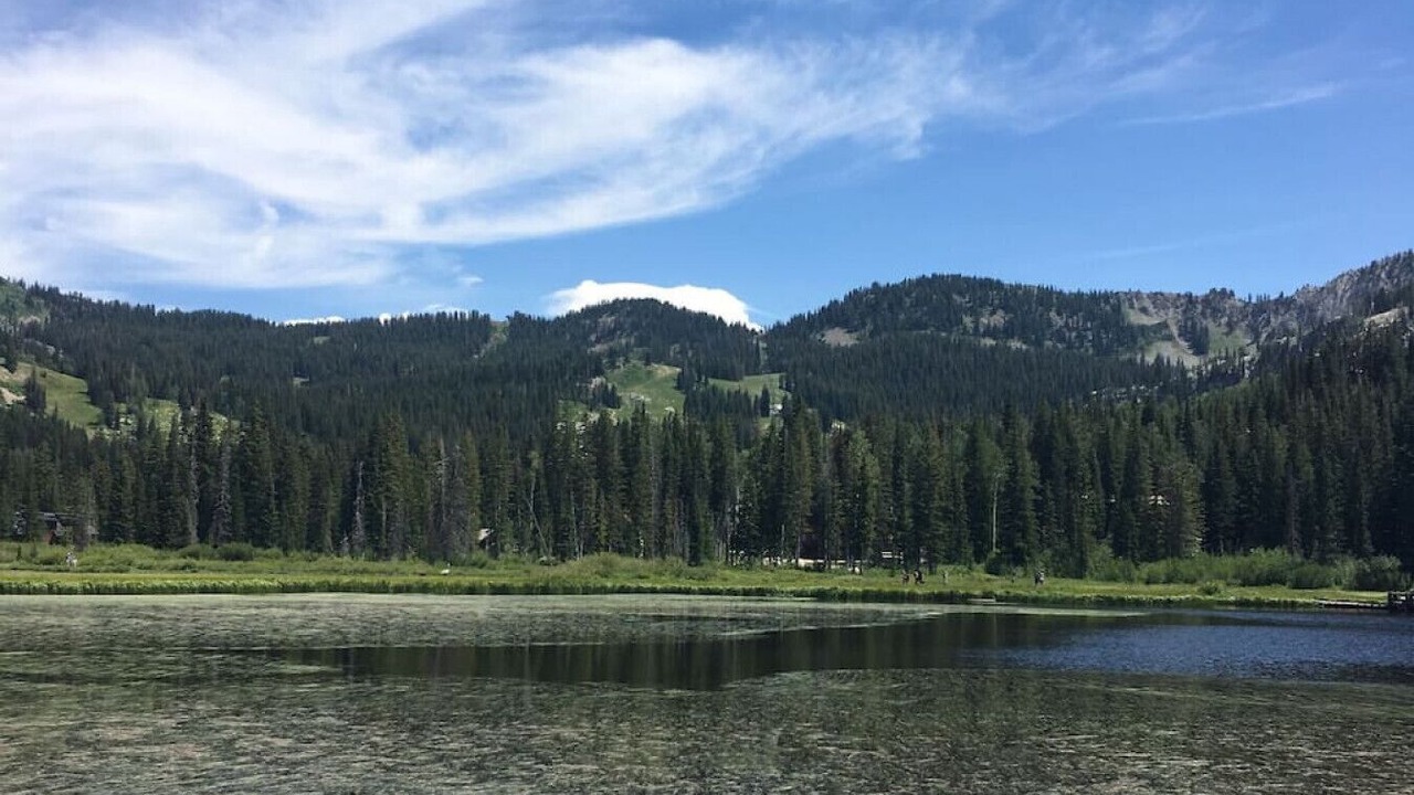 Photo of Outdoor in Millcreek