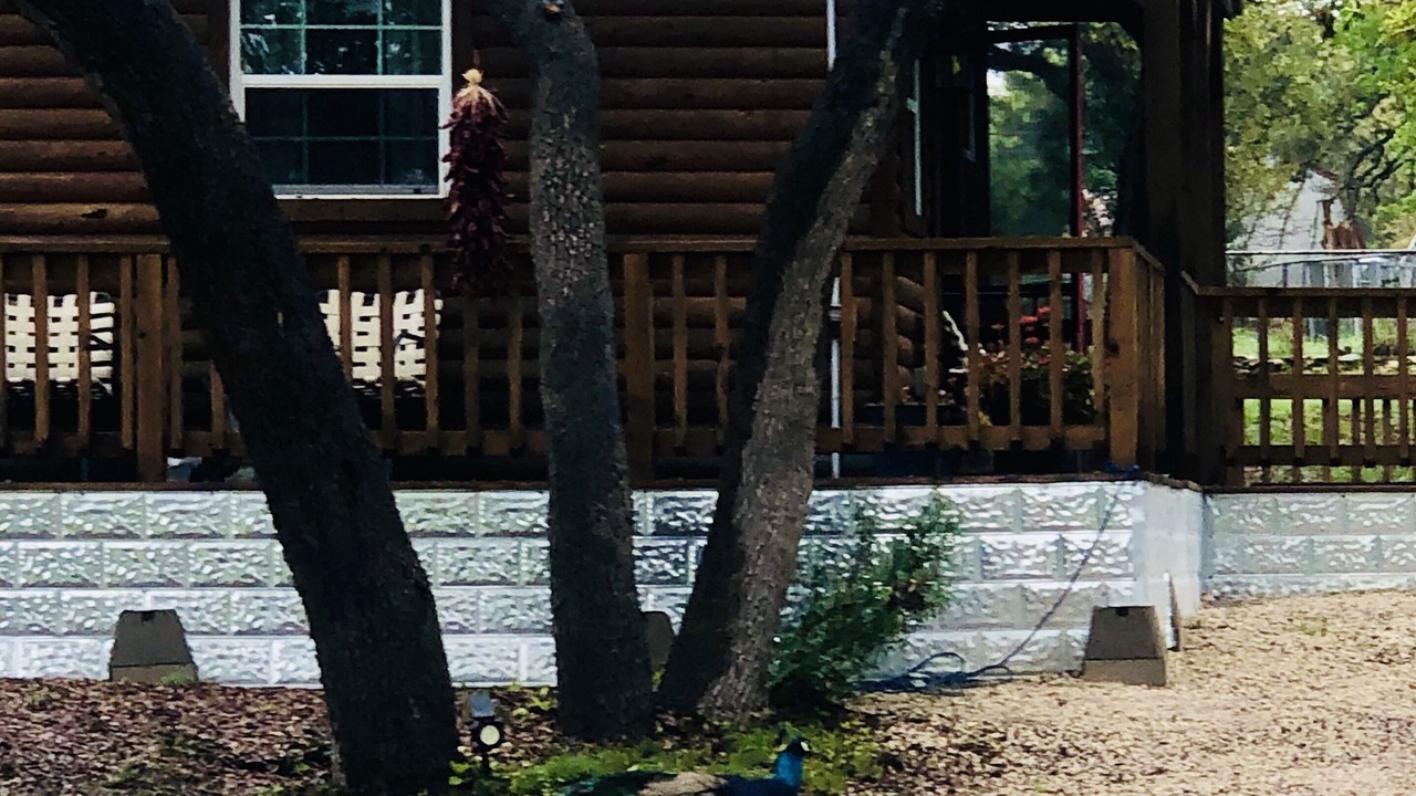 Photo of Outdoor in Canyon Lake