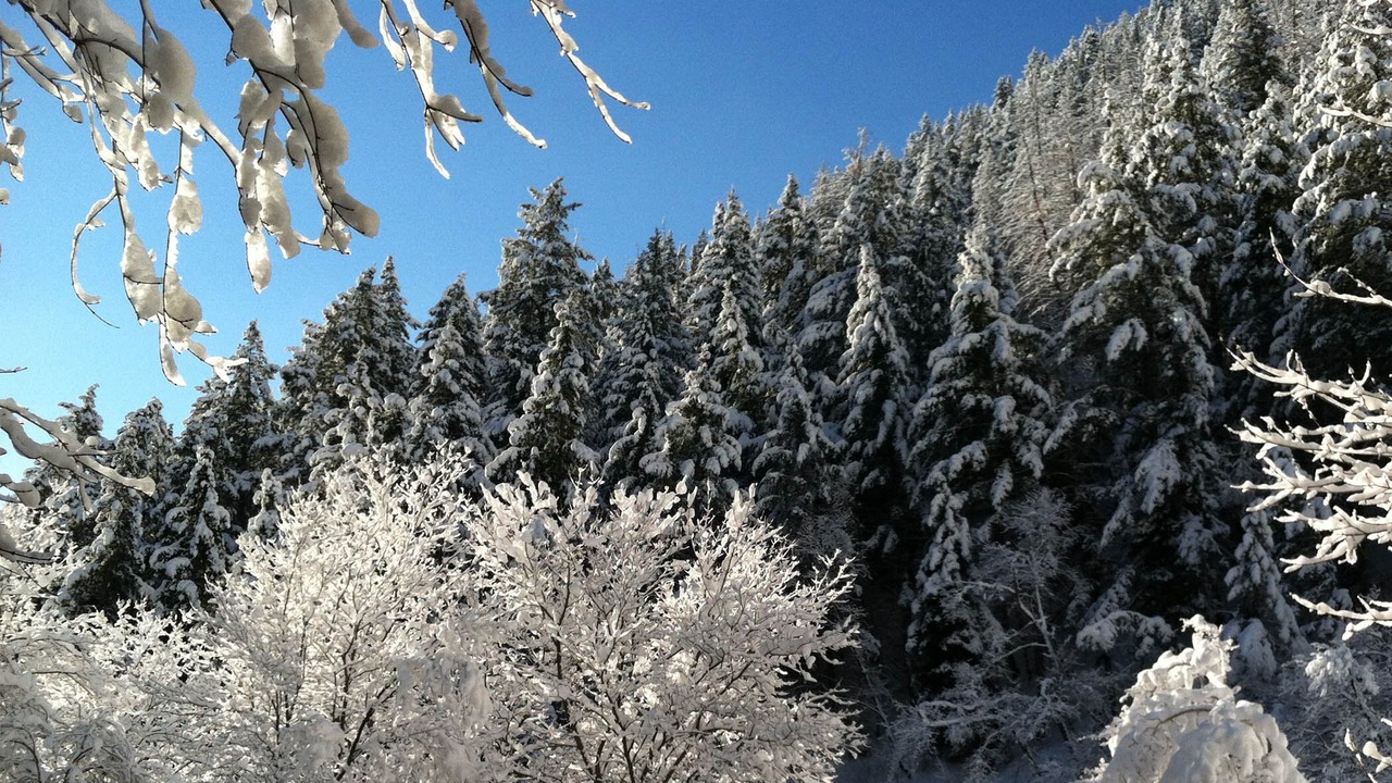Photo of Outdoor in Sundance