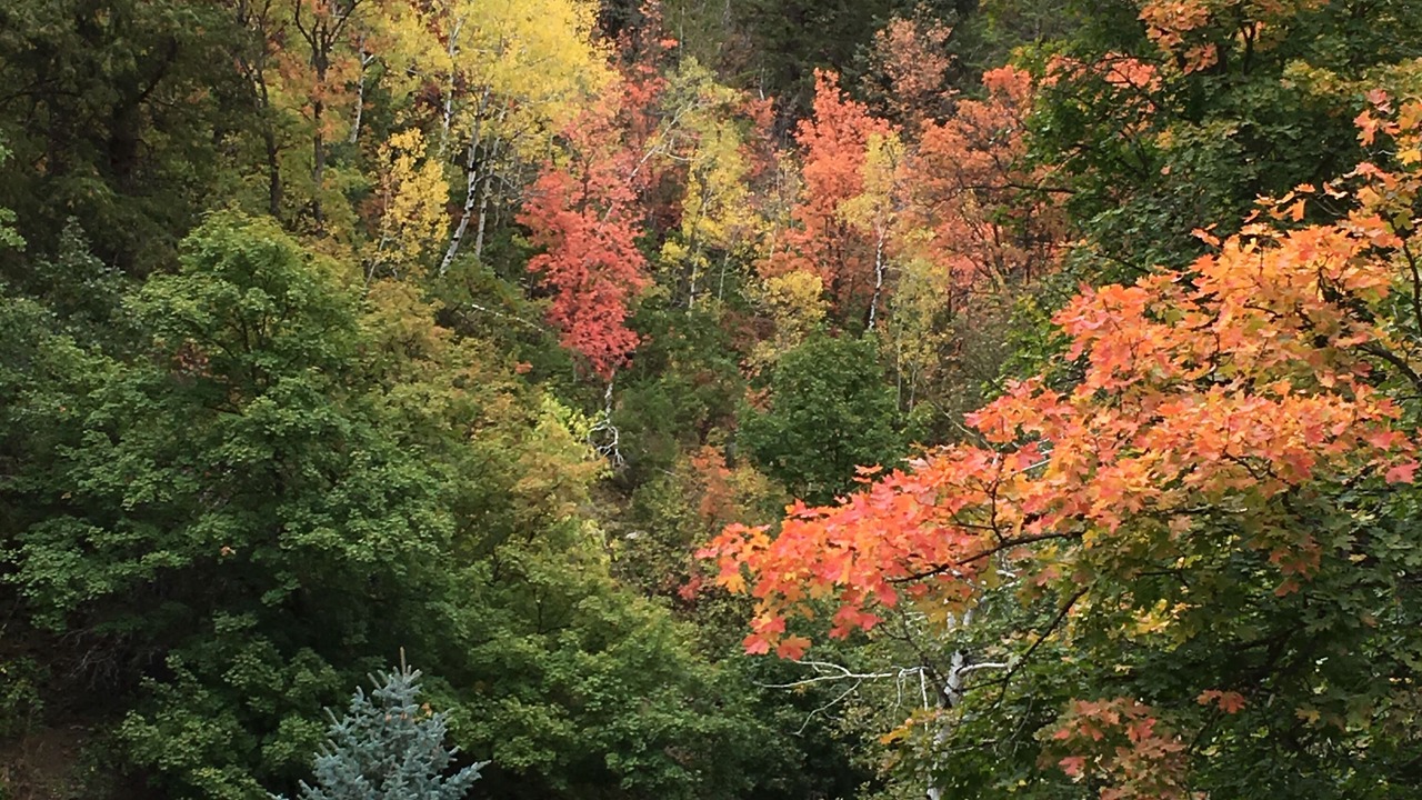 Photo of Outdoor in Sundance