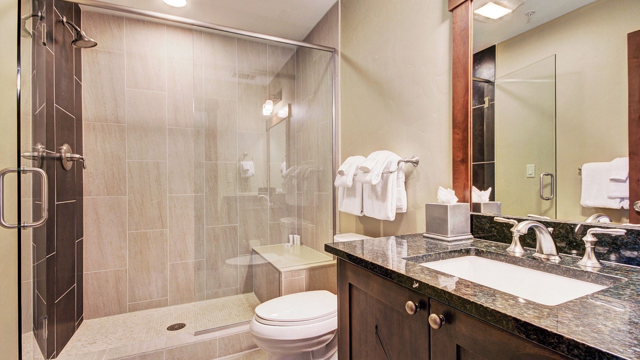Photo of Bathroom in Peak 8