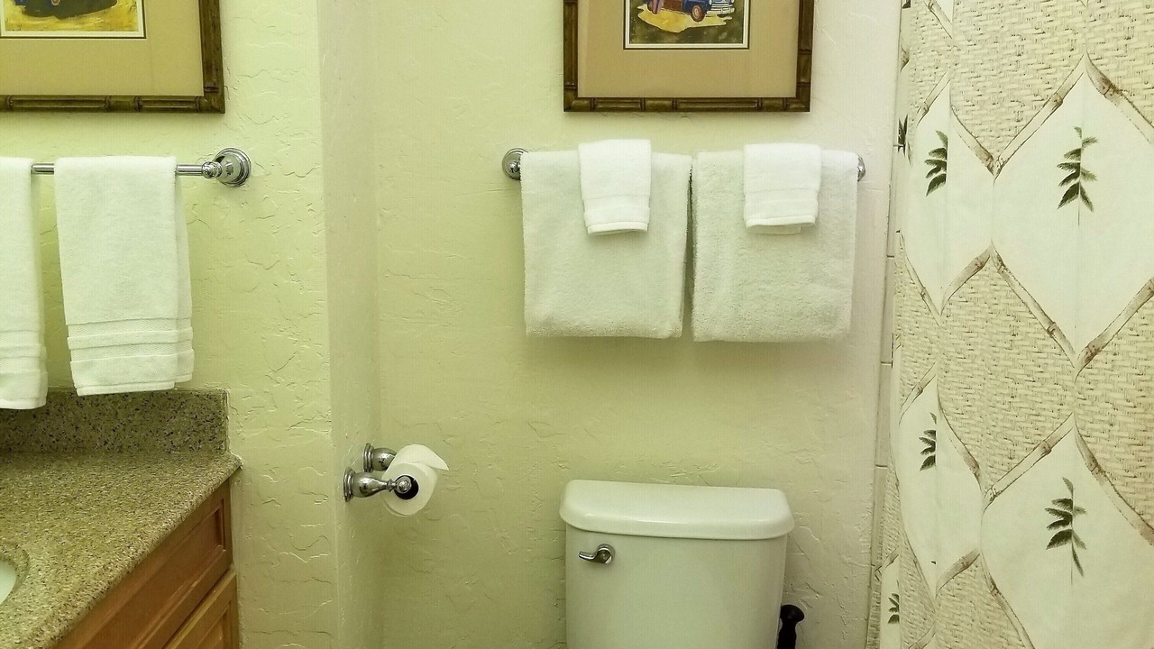 Photo of Bathroom in Honokowai
