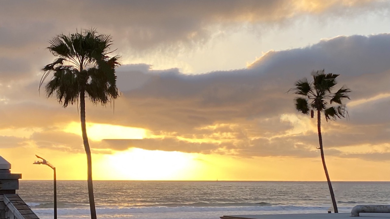 Photo of Others in South Mission Beach
