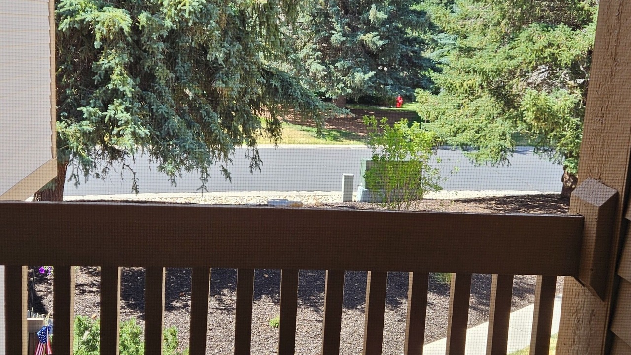 Photo of Outdoor in Park Meadows
