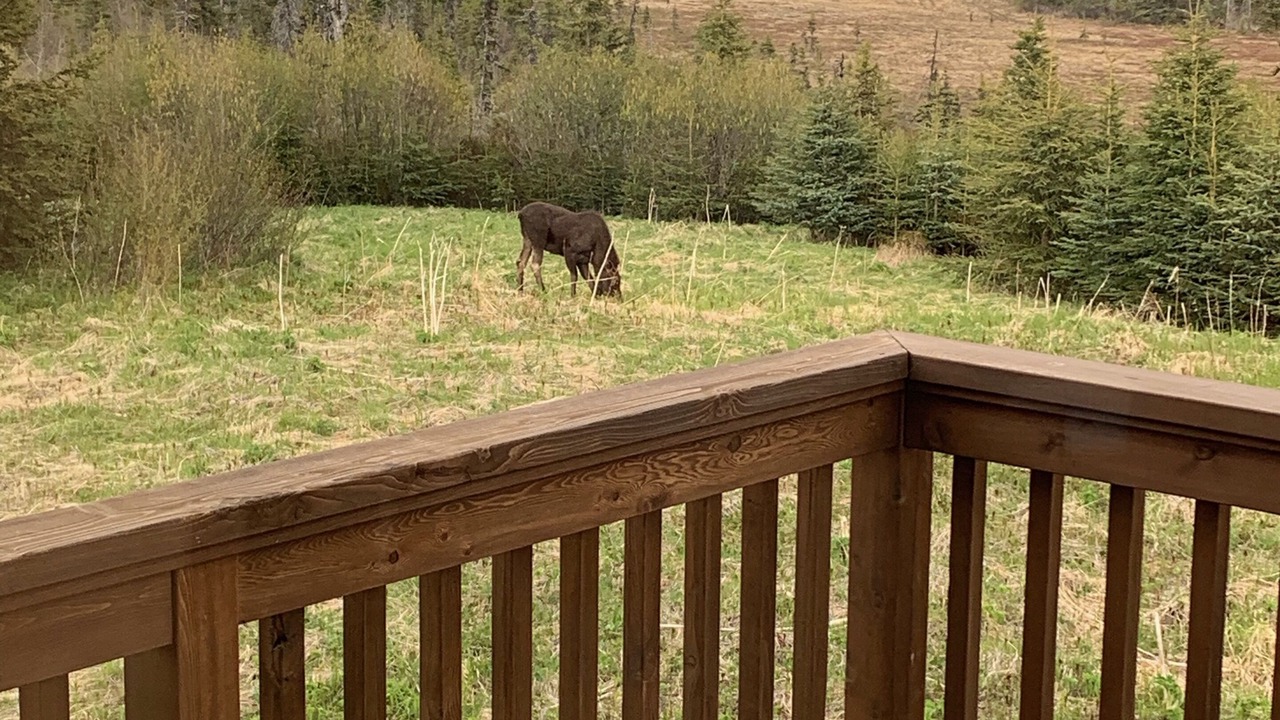 Photo of Others in Homer